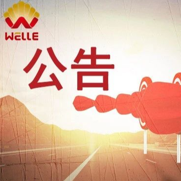 喜訊 | 維爾利中標海心沙填埋場濃縮液處理系統項目